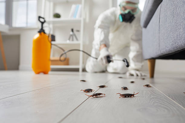 Commercial Kitchen Cockroach Control in Onalaska